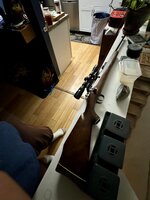 IMG_9201.jpeg
