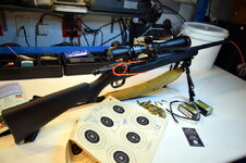 savagearms22lr.jpg