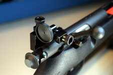 savagearmstargetriflerearsights.JPG
