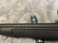 IMG_7360.jpeg