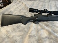 IMG_7356.jpeg