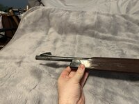 IMG_7388.jpeg