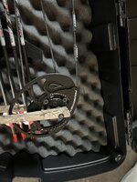 IMG_7052.jpeg
