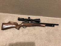 IMG_2918.jpeg