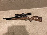 IMG_2917.jpeg
