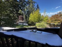 IMG_3289.jpeg