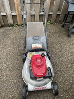 IMG_5433.jpeg