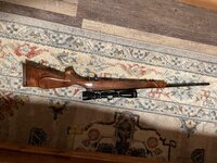 257-1.jpg