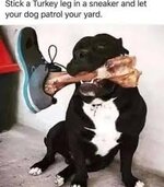 IMG_0135.jpeg