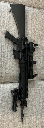 IMG_3306.jpeg