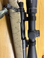 IMG_6245.jpeg