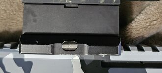 1000035956.jpg