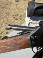 IMG_0739.jpeg