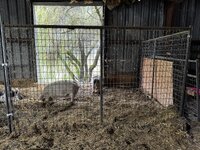 IMG_3841.jpeg