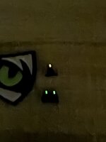 IMG_2999.jpeg