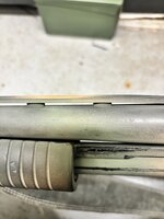 IMG_3830.jpeg