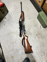 IMG_3833.jpeg