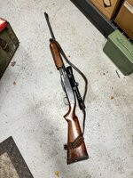 IMG_3834.jpeg