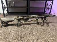 IMG_2435.jpeg
