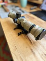 IMG_2399.jpeg
