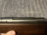 IMG_7442.jpeg