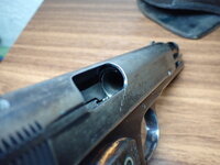 COLT PB100020.JPG