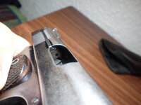 COLT PB100021.JPG