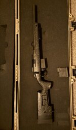 IMG_5549.jpeg