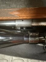 IMG_4479.jpeg