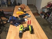 IMG_2321.jpeg