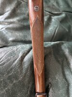 IMG_6336.jpeg
