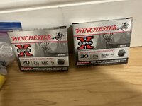 IMG_2303.jpeg