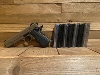 IMG_2335.jpeg
