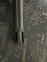 IMG_5989.jpeg