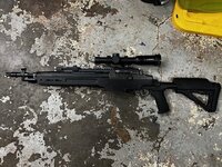 m14 2.jpg
