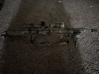 IMG_2523.jpeg