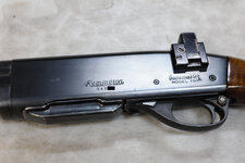 _DSF5461x.jpg