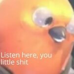 1732811852502.jpeg