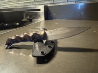 IMG_1918.jpeg