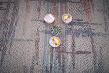 100_1798.JPG