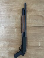IMG_1048.jpeg