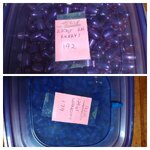 IMG_20241202_134420-COLLAGE.jpg