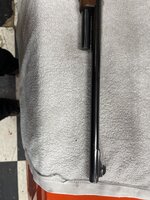 IMG_4429.jpeg