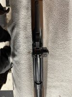 IMG_4430.jpeg
