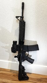 IMG_7344.jpeg
