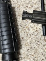IMG_5565.jpeg