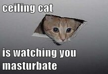 ceiling cat.jpg