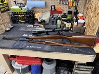 IMG_9335.jpeg