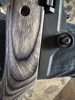 IMG_2184.jpeg