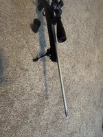 IMG_7651.jpeg